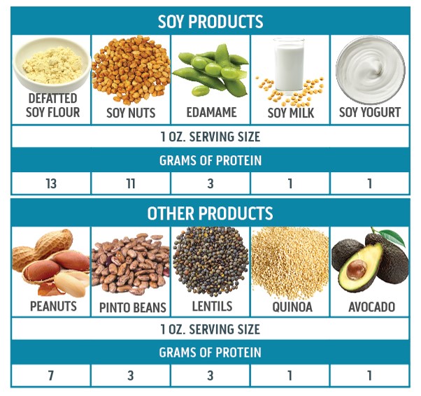 Are Soy Beans Complete Protein At Gary Langley Blog