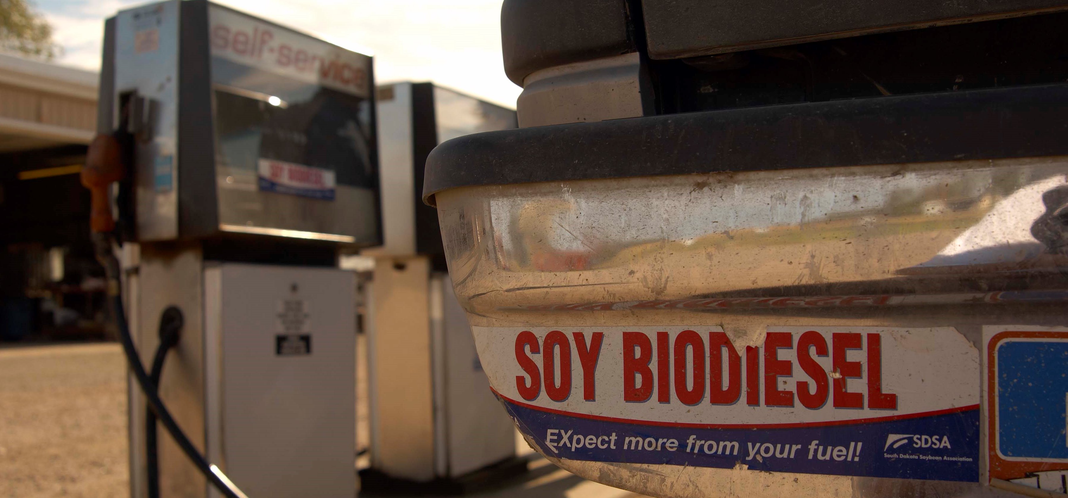 Biodiesel Demand Increases Price of Soybeans by 0.74 Per Bushel, Study